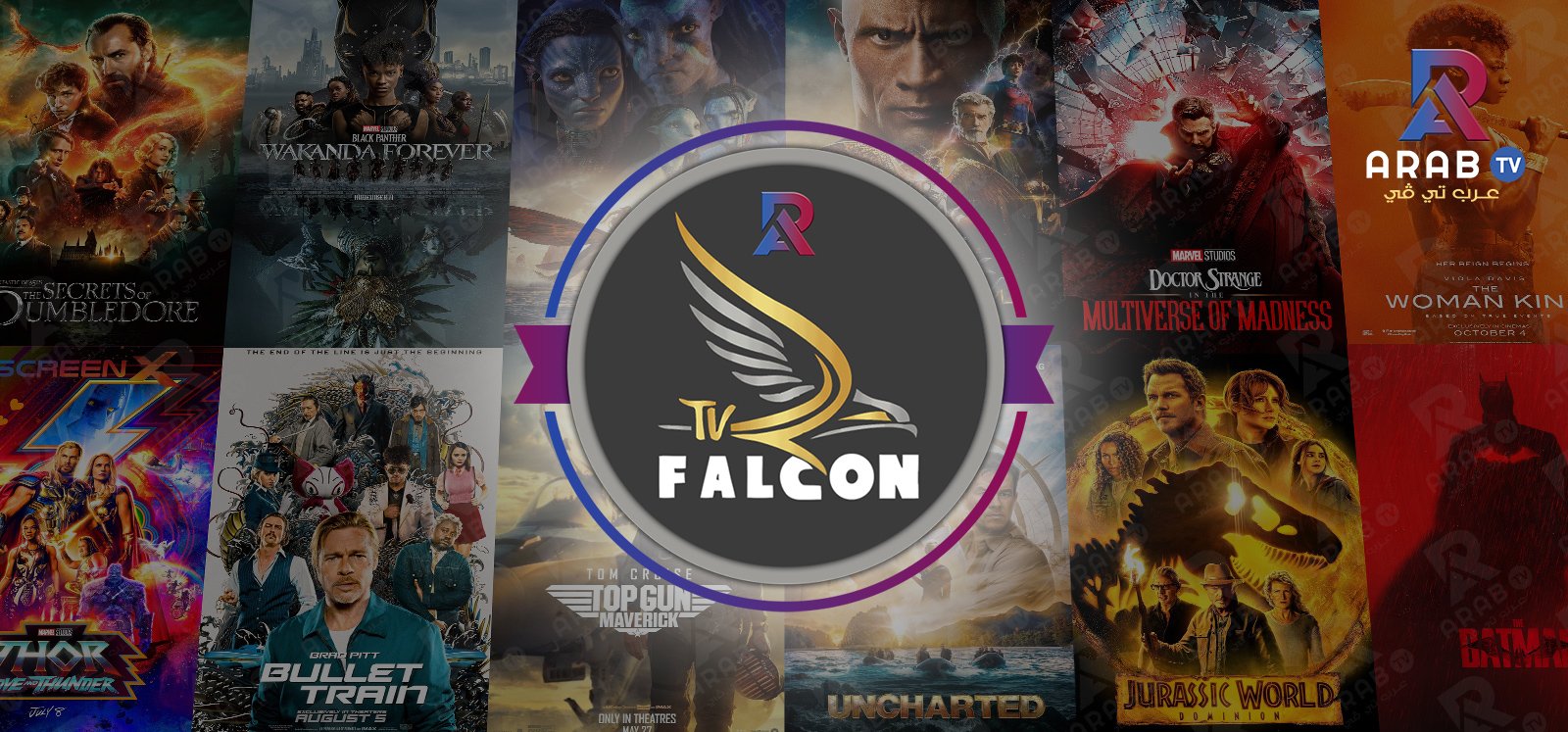 وصف ومعلومات عن اشتراك فالكون برو falcon pro IPTV